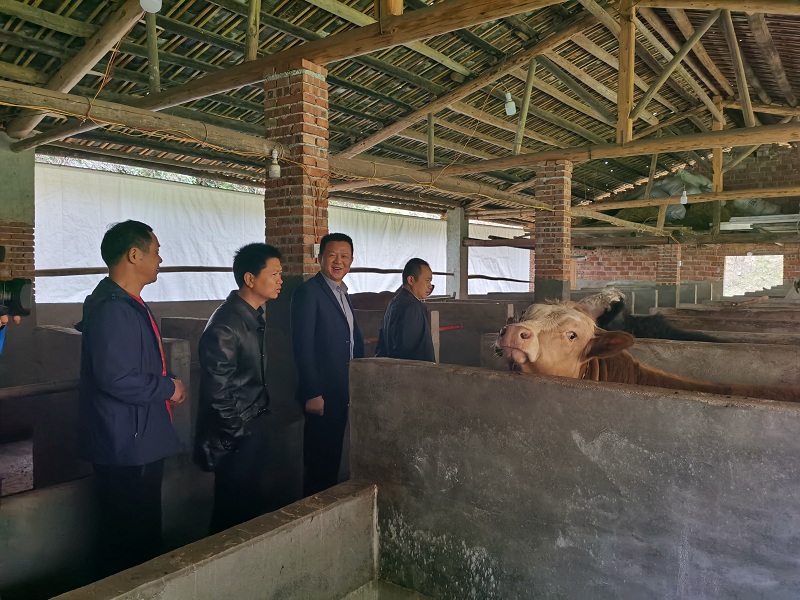 微信图片_20200326161151.jpg 微信图片_20200326161151.jpg